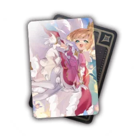 Princess No. 8502, 8503...